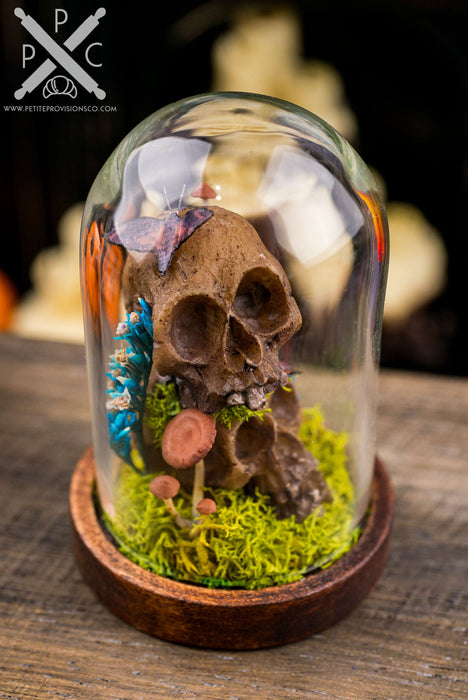 Dollhouse Miniature Skulls and Mushrooms Cloche 1:12 Scale Halloween Decoration