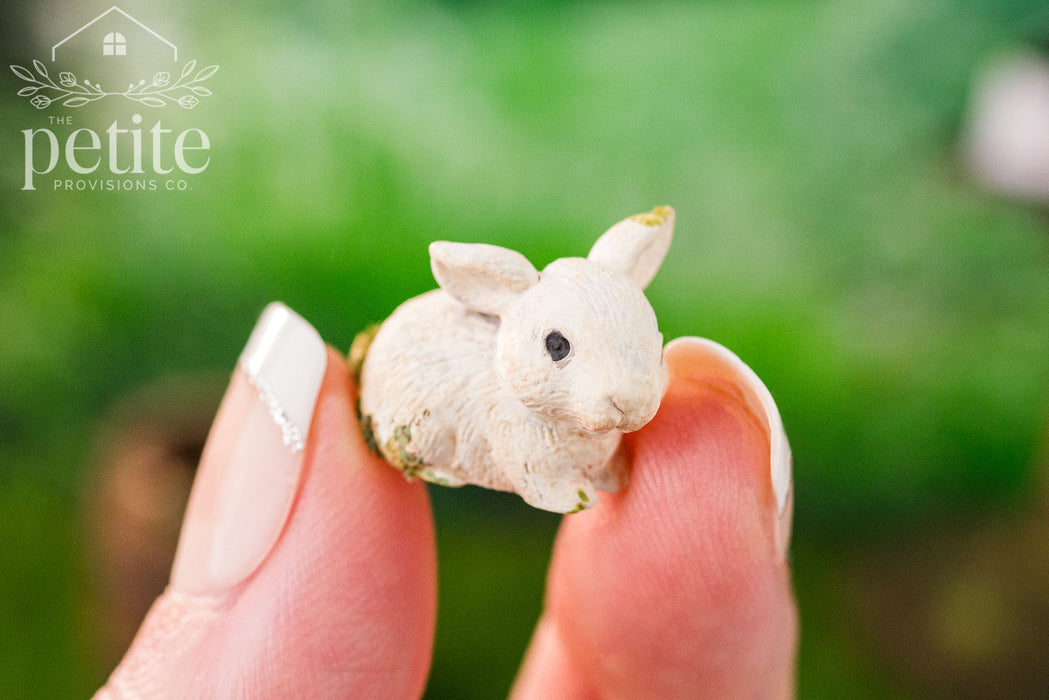 Bunny Garden Statue