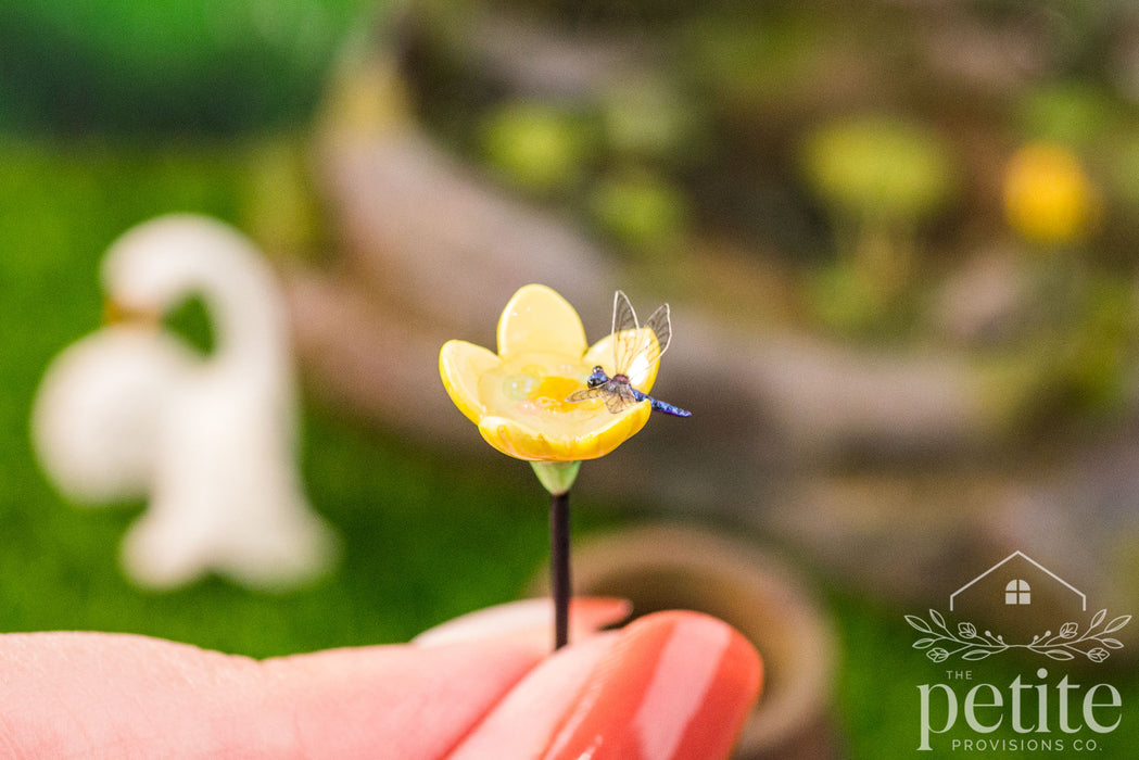 Dragonfly Garden Water Station