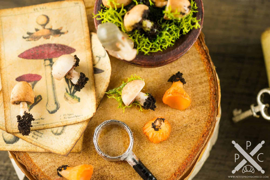 Rustic Foraged Mushrooms Apothecary Board