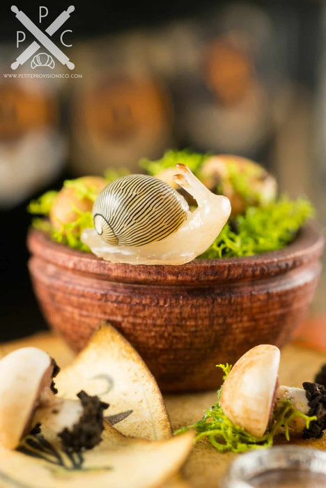 Rustic Foraged Mushrooms Apothecary Board