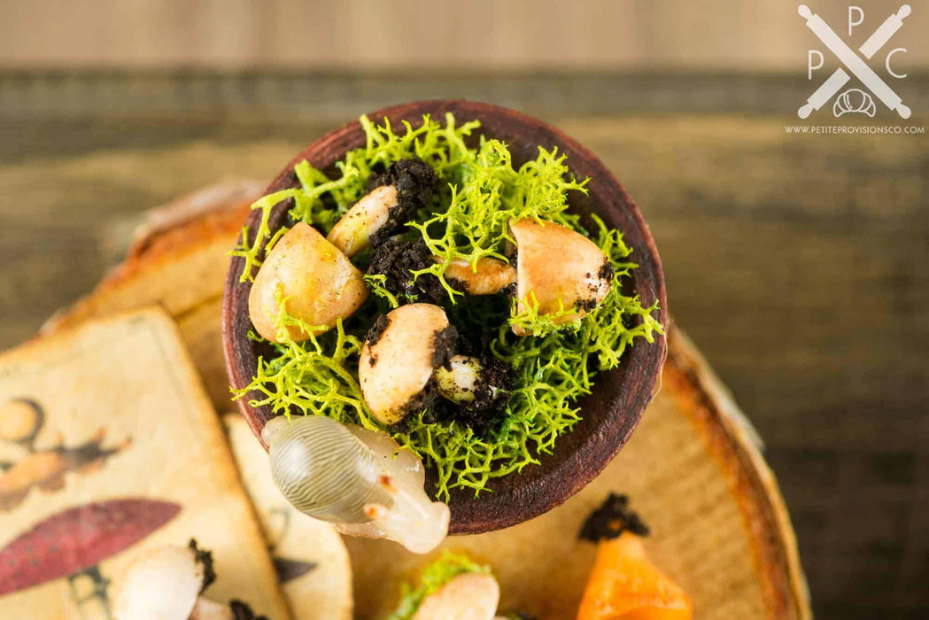 Rustic Foraged Mushrooms Apothecary Board