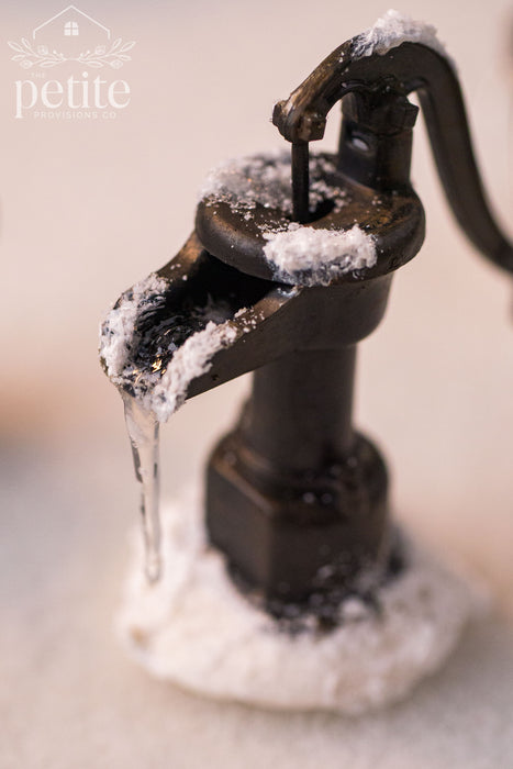 Frozen Hand Pump