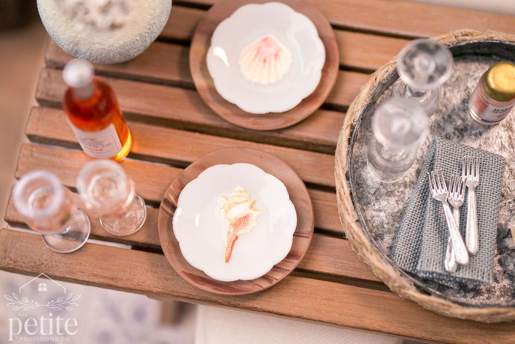 Harbor Shell Study Dinner Plates - Set of 4