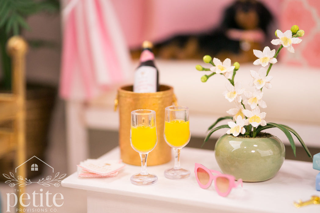 Palm Isle Mimosa Set