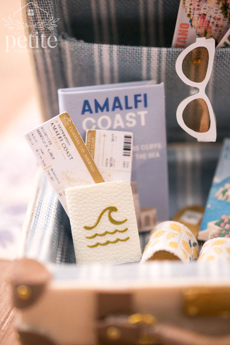 Passport & Boarding Pass Set