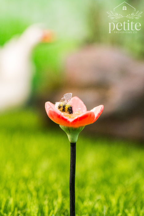 Pollinator Water Station – Flower Basin
