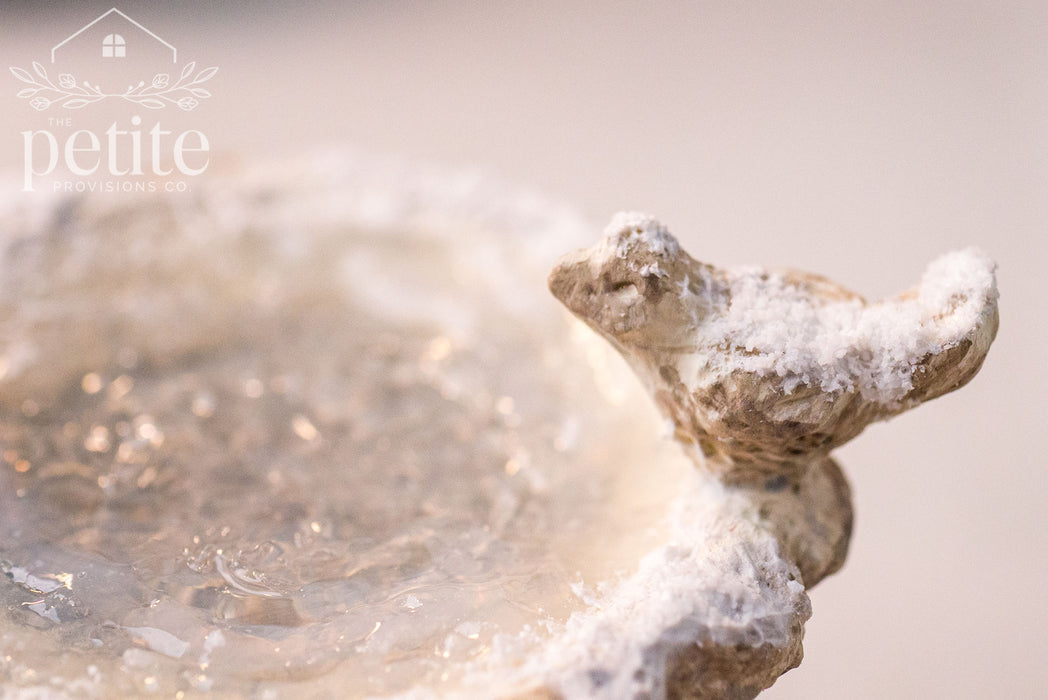 Snowbound Garden Bird Bath