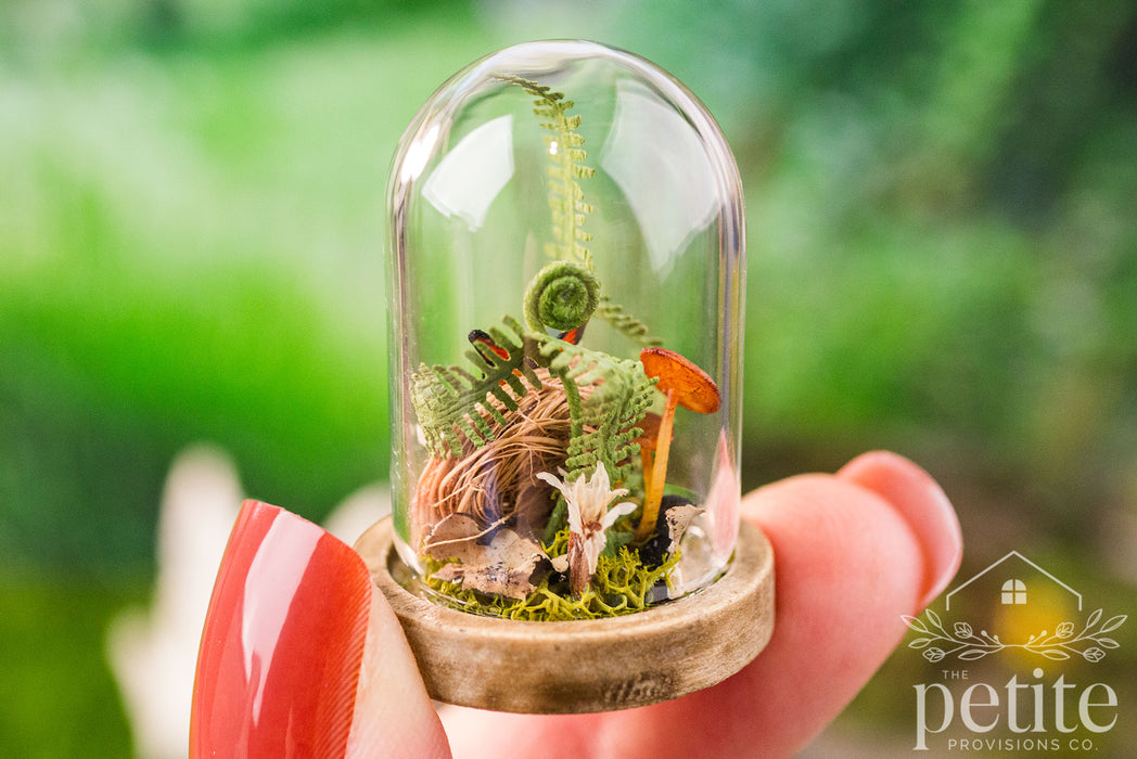 Spring Cloche – Bird’s Nest with Butterfly