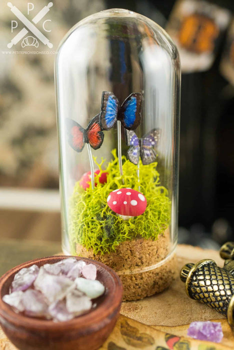 The Naturalist - Butterflies Under Glass Dome and Rock Collection