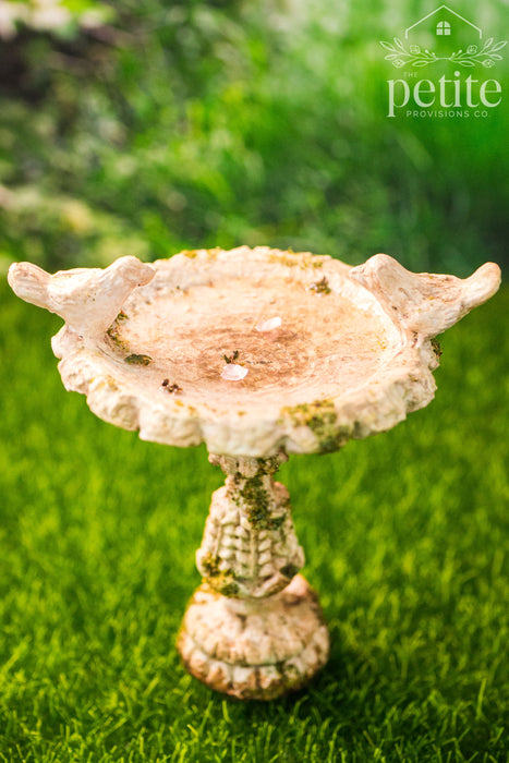 Weathered Garden Bird Bath