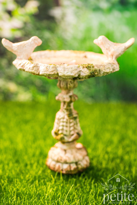 Weathered Garden Bird Bath