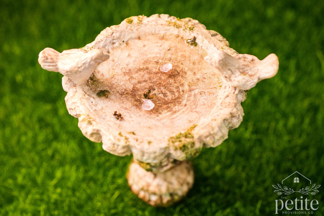 Weathered Garden Bird Bath