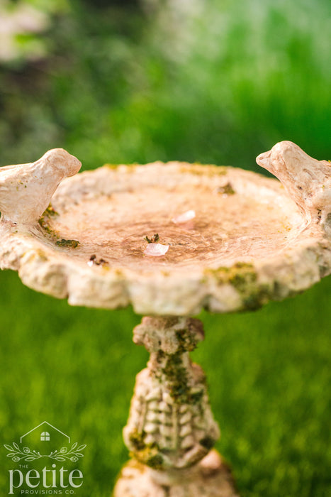 Weathered Garden Bird Bath