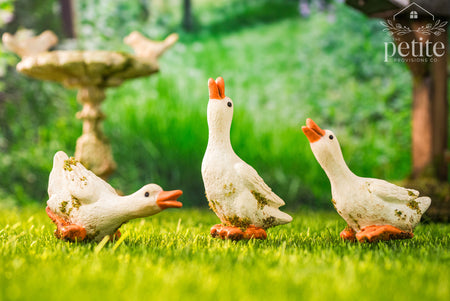 Three decorative goose figurines on grass with a blurred background
