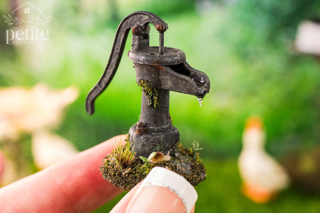 Weathered Garden Hand Pump