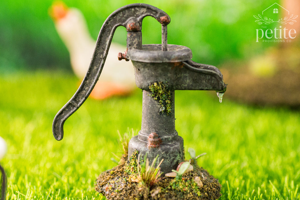 Weathered Garden Hand Pump
