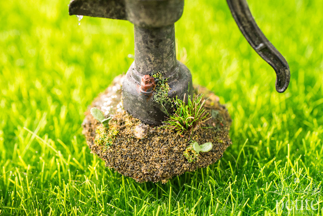 Weathered Garden Hand Pump