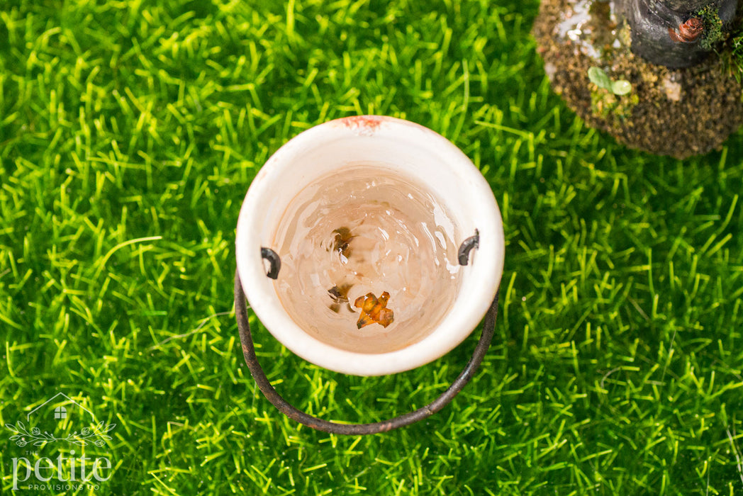 Weathered Garden Water Bucket