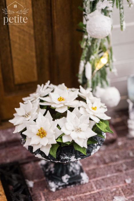 White Poinsettia Planter