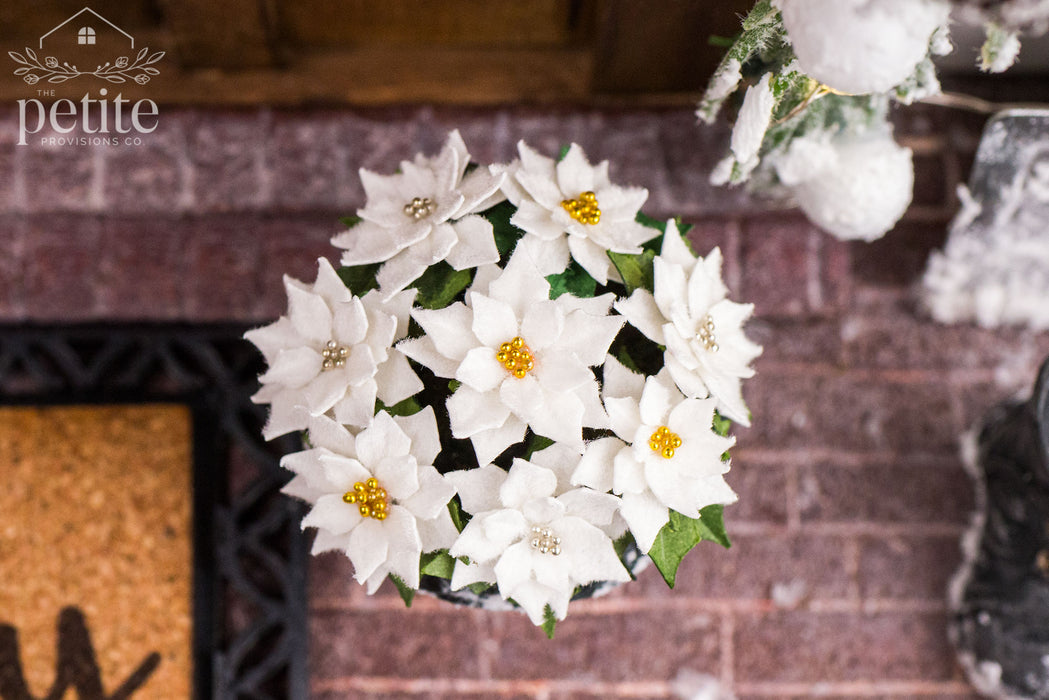 White Poinsettia Planter